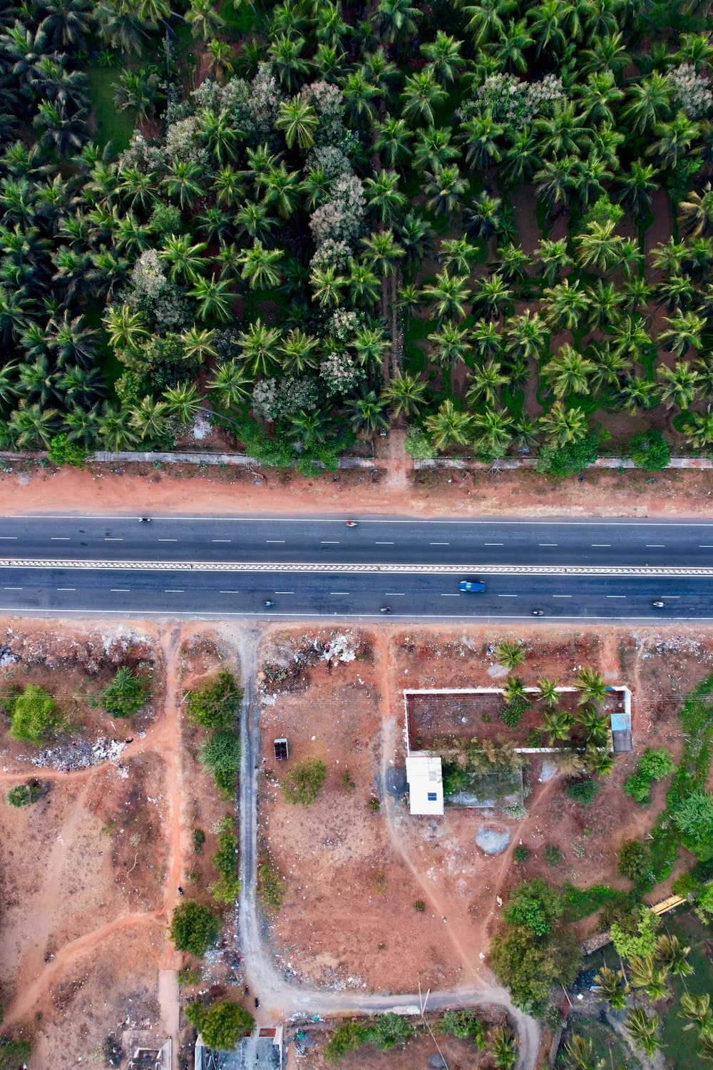 Starting a Coorg Trip From Electronic City Actually Saves You Time